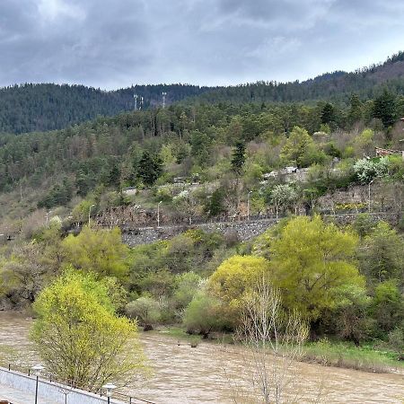 Vitali Apartment Borjomi Luaran gambar