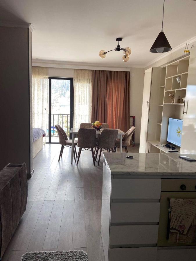 Vitali Apartment Borjomi Luaran gambar