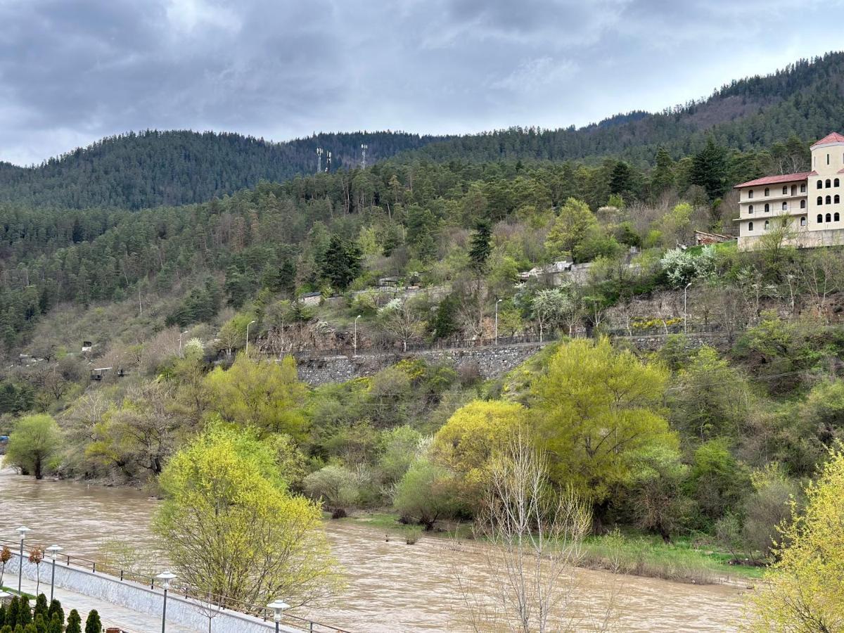 Vitali Apartment Borjomi Luaran gambar
